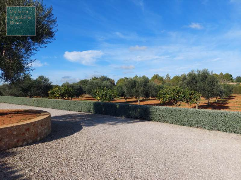 Blick vom Vorplatz auf das Grundstück