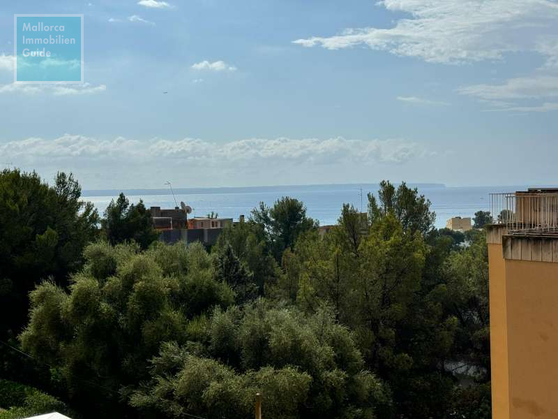 Apartment for sale in Mallorca: wide choice, excellent prices  16