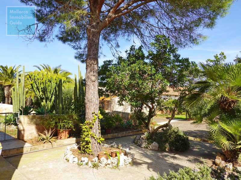 Finca for sale in Mallorca: top offers starting at  275.000 10