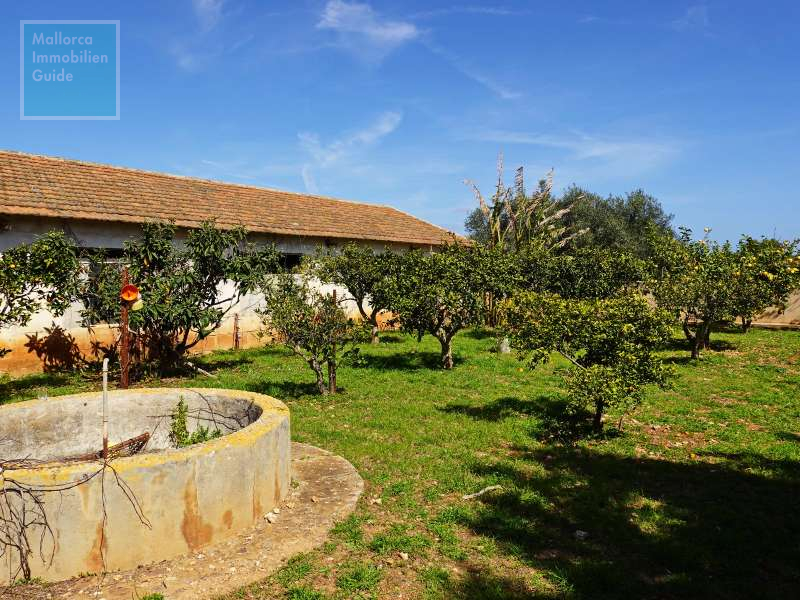 Finca for sale in Mallorca: top offers starting at  275.000 20