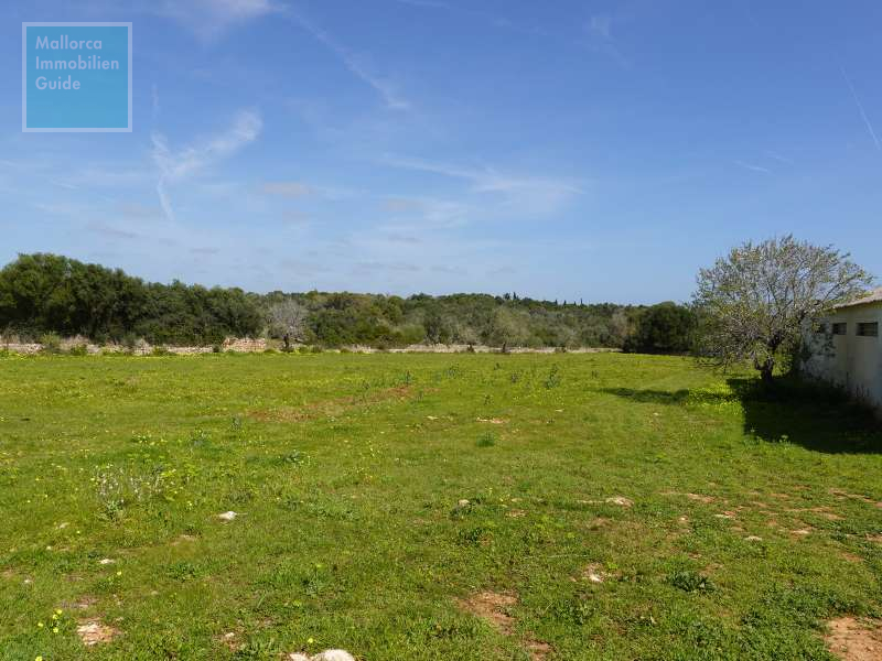 Finca for sale in Mallorca: top offers starting at  275.000 23