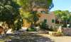 Finca for sale in Mallorca: top offers starting at  275.000 1