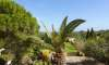 Finca for sale in Mallorca: top offers starting at  275.000 25