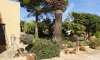 Finca for sale in Mallorca: top offers starting at  275.000 7