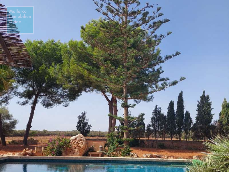 Finca for sale in Mallorca: top offers starting at  275.000 3
