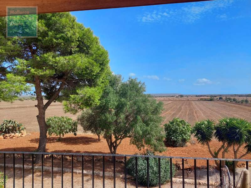 Finca for sale in Mallorca: top offers starting at  275.000 24