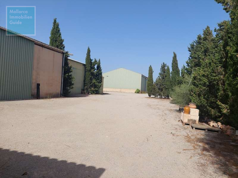 Finca for sale in Mallorca: top offers starting at  275.000 39