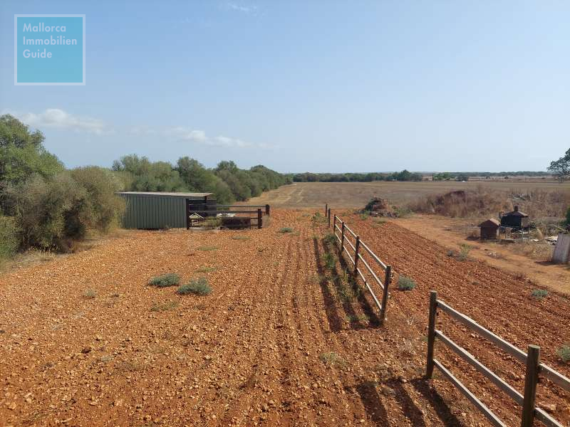 Finca for sale in Mallorca: top offers starting at  275.000 48