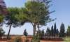 Finca for sale in Mallorca: top offers starting at  275.000 3