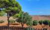 Finca for sale in Mallorca: top offers starting at  275.000 24