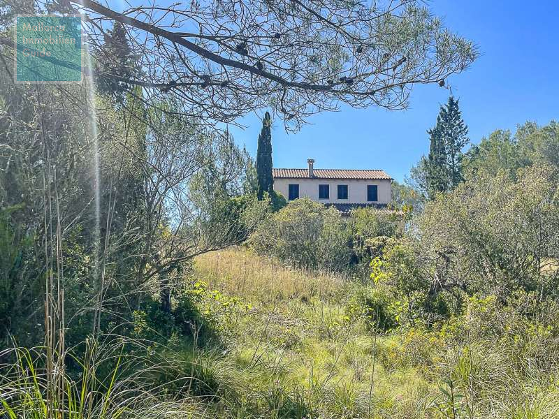 Finca en venta Mallorca: ofertas a partir de  275.000 13