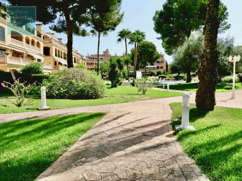 Gepflegter Aussenbereich