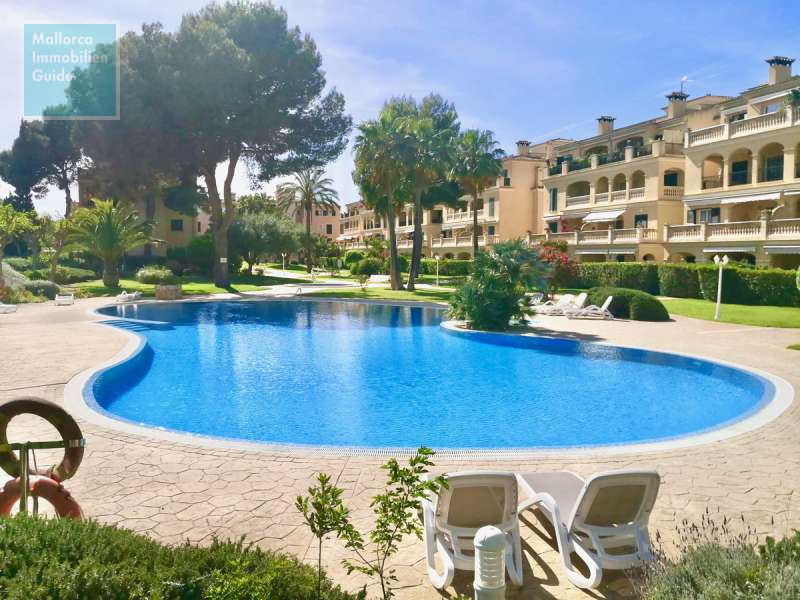 Puig de Ros, Penthouse