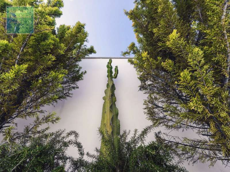 Villa for sale in Mallorca: large choice, best villas 35