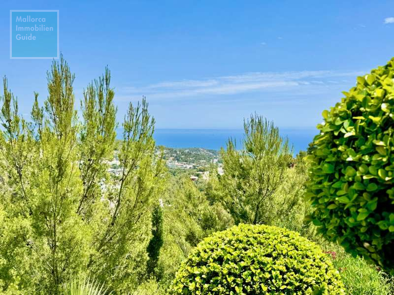 Villa for sale in Mallorca: large choice, best villas 37