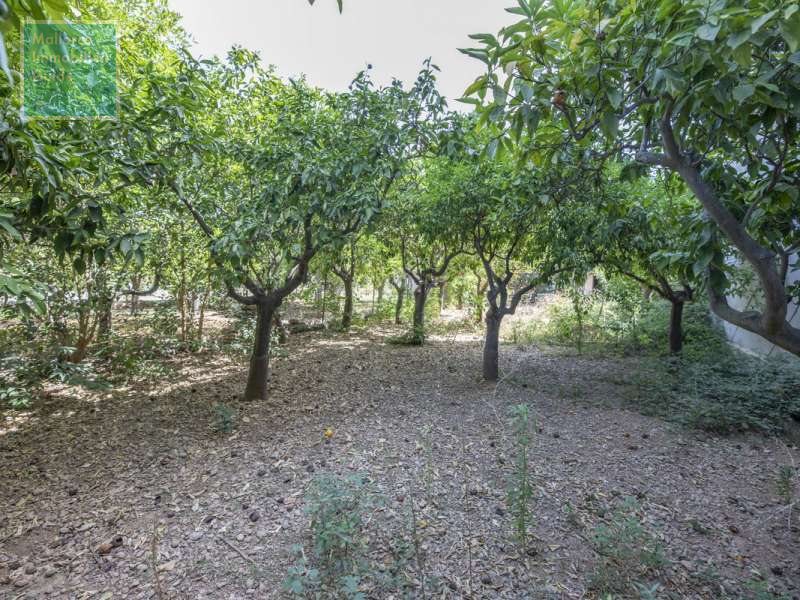 Stadthaus in Sóller mit separatem Gartengrundstück