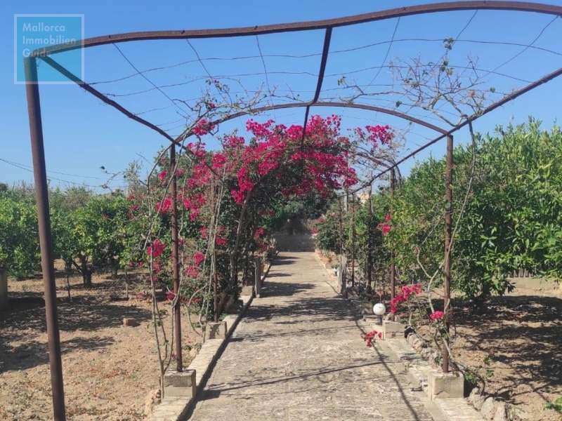 Finca for sale in Mallorca: top offers starting at  275.000 25