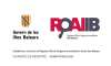 Logo_ROAIIB_provisional