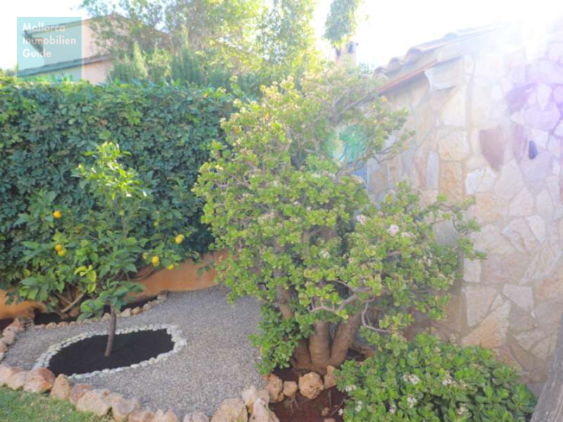 Casa en venta Mallorca: gran oferta, casas de pueblo y chalets 7
