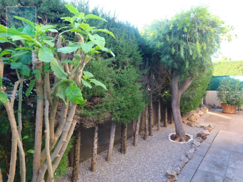 Casa en venta Mallorca: gran oferta, casas de pueblo y chalets 8