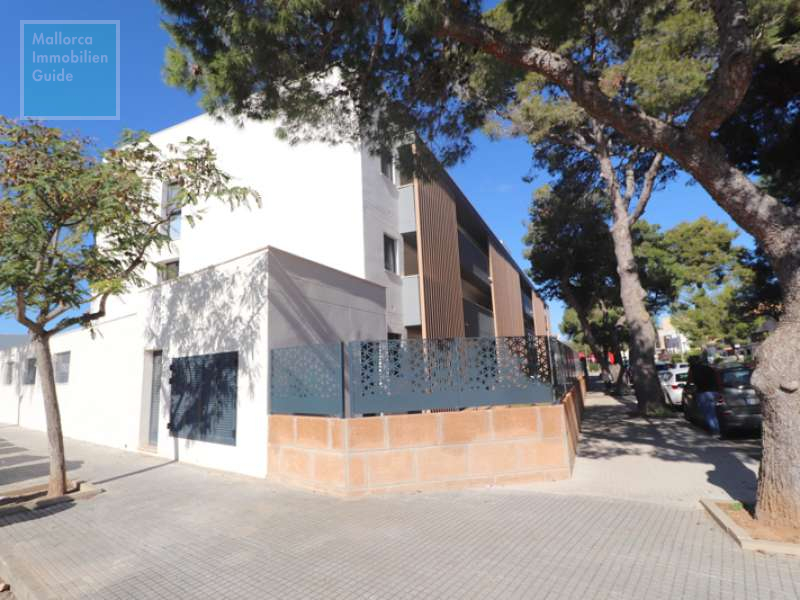 Apartment for sale in Mallorca: wide choice, excellent prices  28