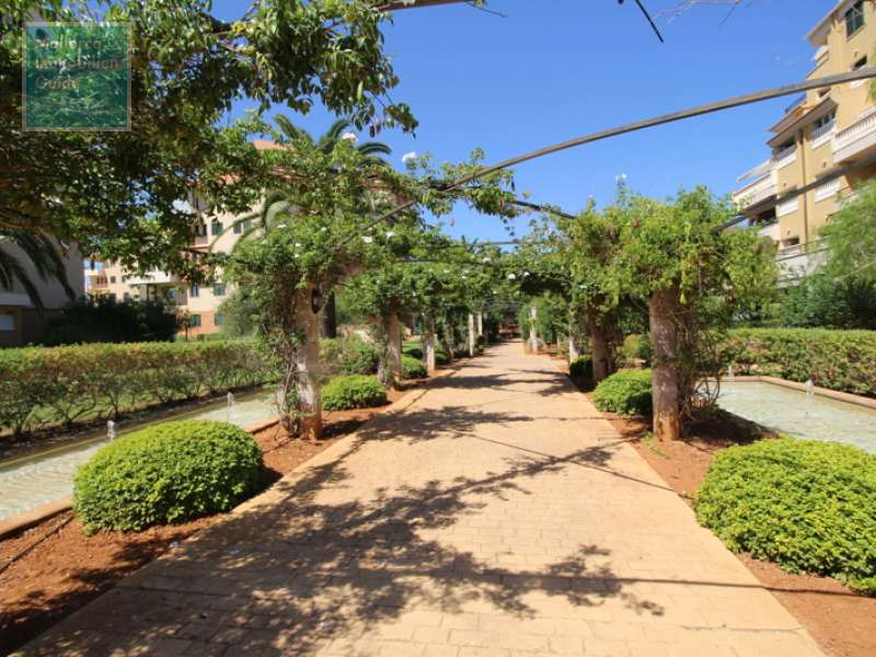 Apartment for sale in Mallorca: wide choice, excellent prices  22