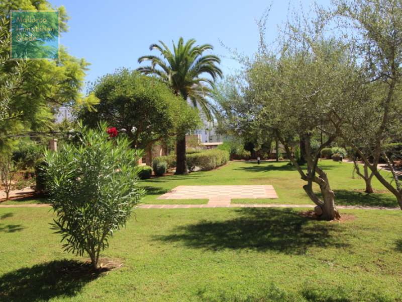 Apartment for sale in Mallorca: wide choice, excellent prices  23