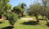 Apartment for sale in Mallorca: wide choice, excellent prices  23