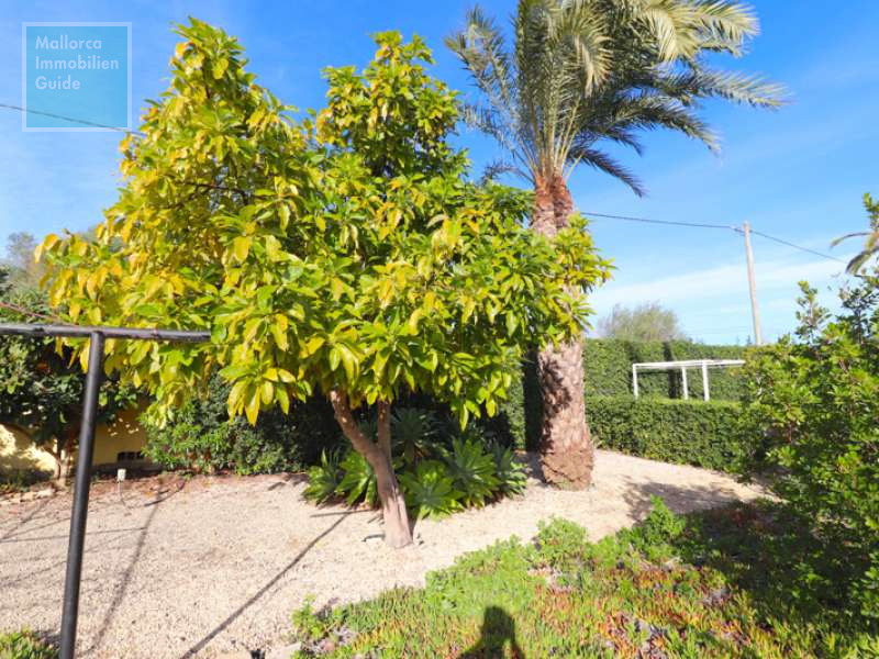 Casa en venta Mallorca: gran oferta, casas de pueblo y chalets 25