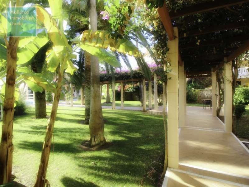 Gepflegte Zuwegung in er Gemeinschaftsanlage