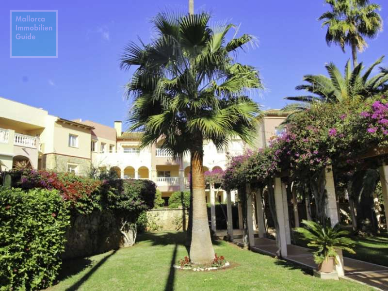 Gepflegter Gemeinschaftsgarten