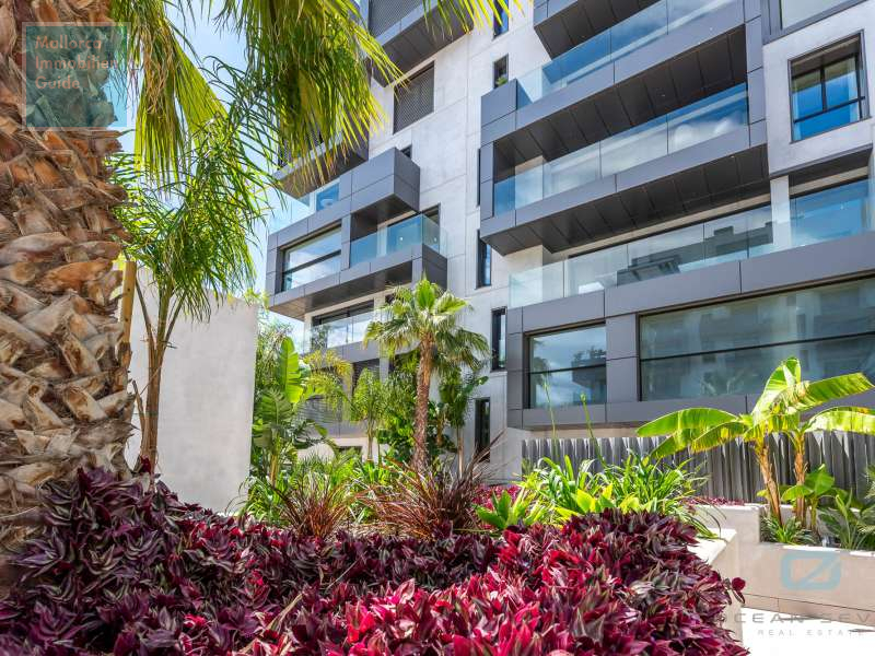 Apartment for sale in Mallorca: wide choice, excellent prices  3