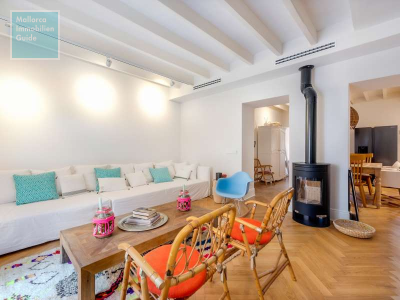 Wohnzimmer mit Kaminofen und Klimaanlage