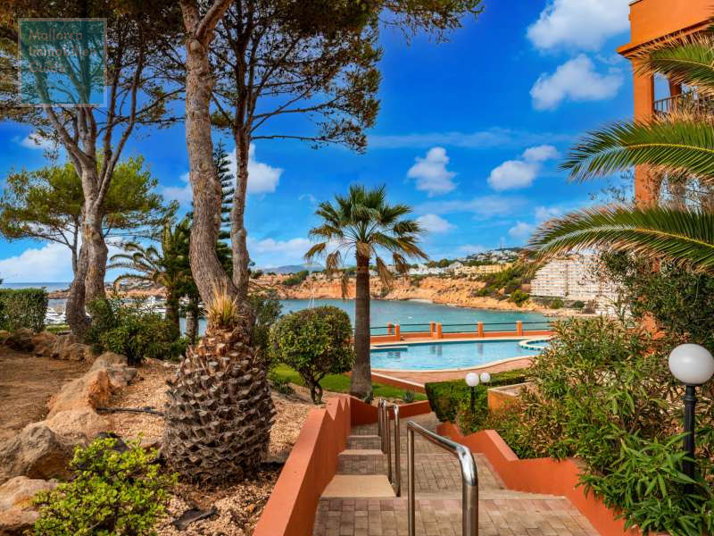 Piso en venta Mallorca: gran selección, precios económicos 2