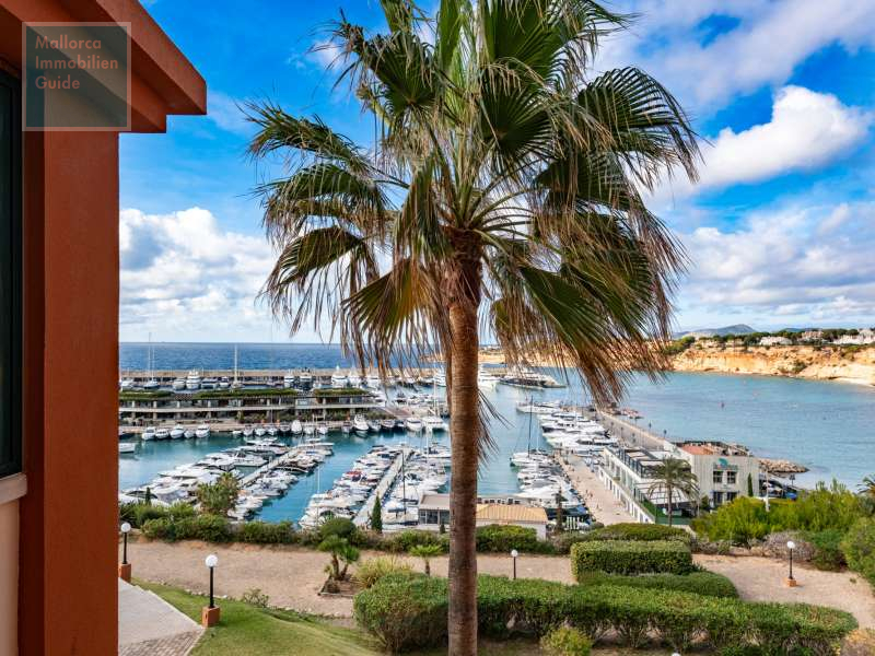 Piso en venta Mallorca: gran selección, precios económicos 7