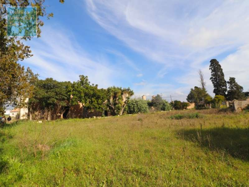 Finca bei Manacor mit grossem Grundstück
