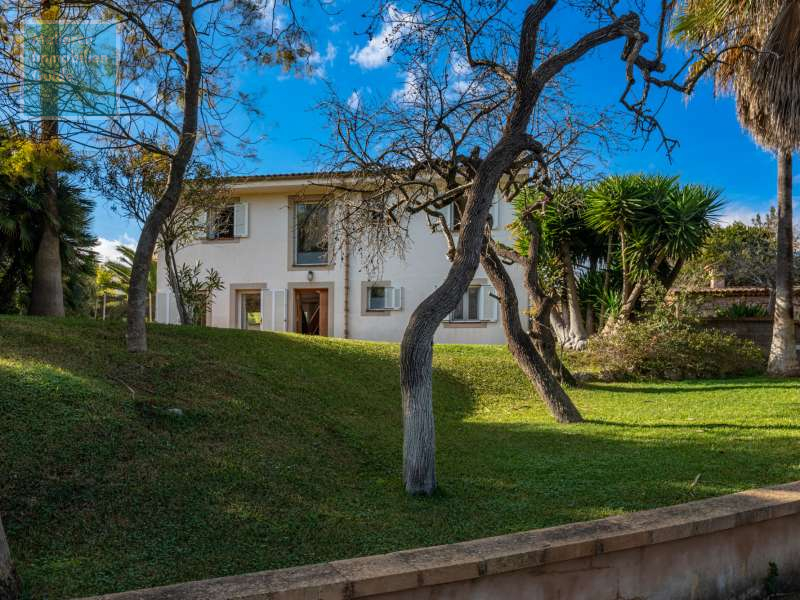 Eingewachsenes Grundstück mit Baumbestand und Rasenflächen