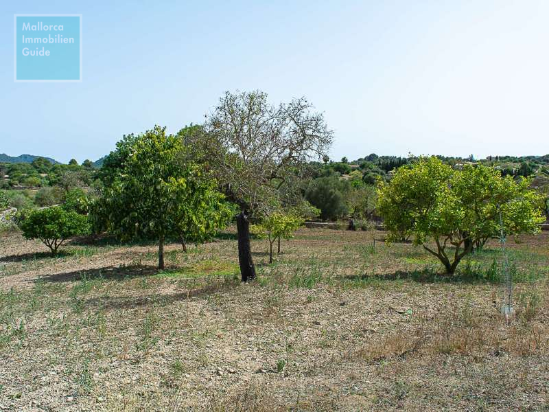 Finca en venta Mallorca: ofertas a partir de  275.000 37