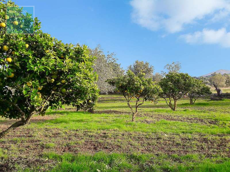 Finca en venta Mallorca: ofertas a partir de  275.000 22
