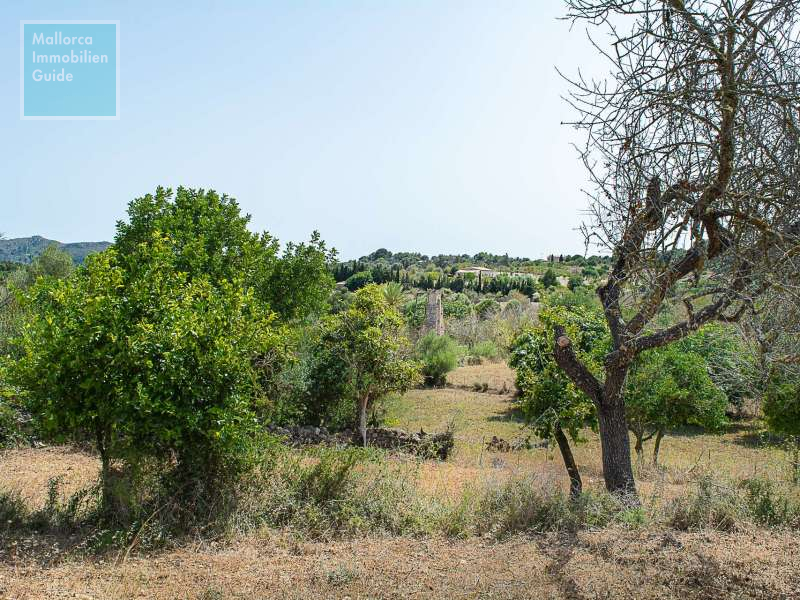 Finca en venta Mallorca: ofertas a partir de  275.000 25