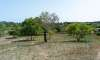 Finca en venta Mallorca: ofertas a partir de  275.000 37