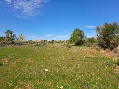 Finca- Baugrundstück  bei Ses Salines