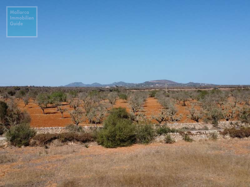 Finca- Baugrundstück  bei Ses Salines