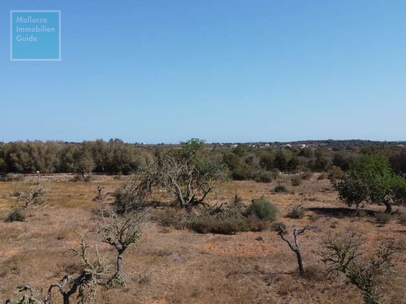 Finca- Baugrundstück  bei Ses Salines