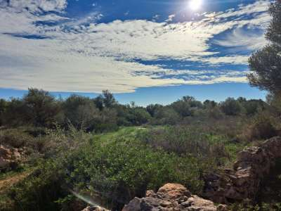 Ses Salines, Finca- Baugrundstück in erhöhter Lage