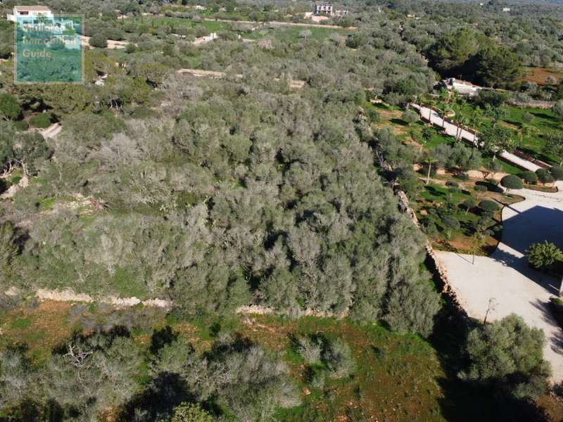 Ses Salines, Finca- Baugrundstück in erhöhter Lage