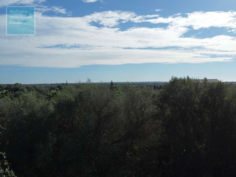 Ses Salines, Finca- Baugrundstück in erhöhter Lage
