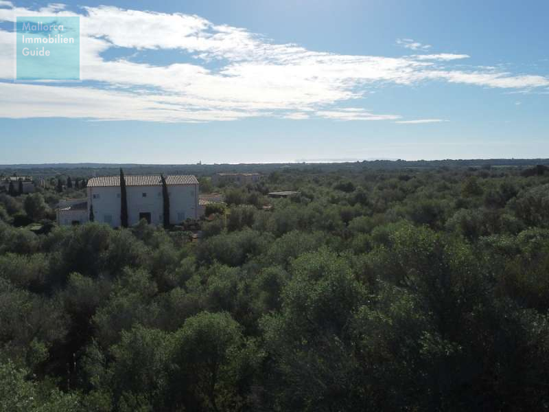 Ses Salines, Finca- Baugrundstück in erhöhter Lage