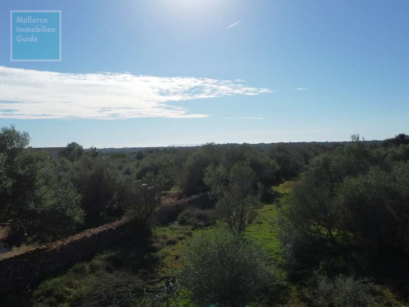 Ses Salines, Finca- Baugrundstück in erhöhter Lage