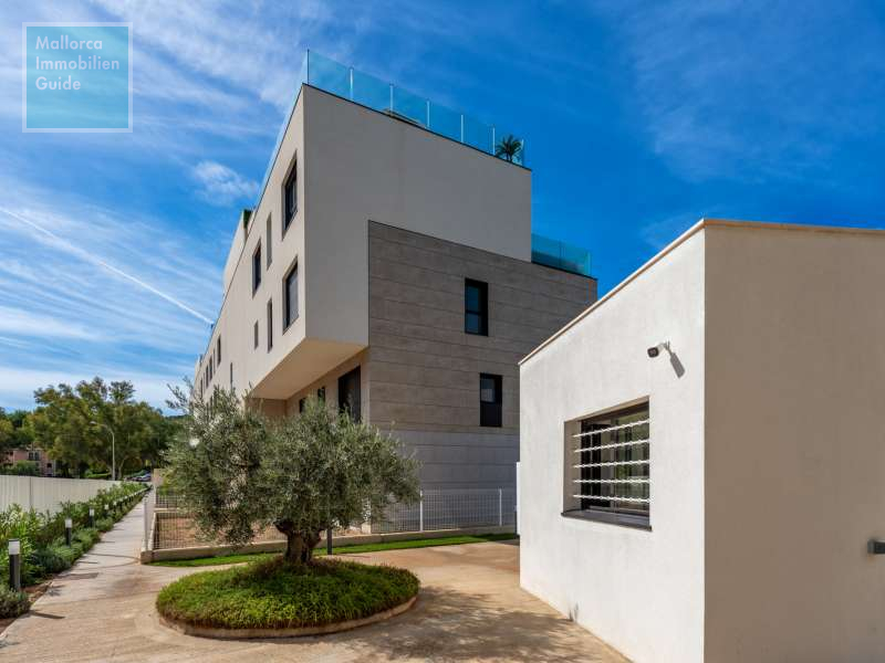 Piso en venta Mallorca: gran selección, precios económicos 29